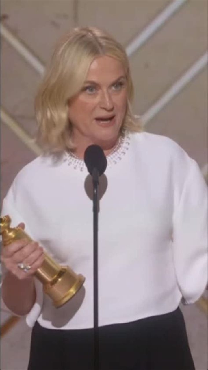 Amy Poehler notable achievements Amy Poehler notable achievements