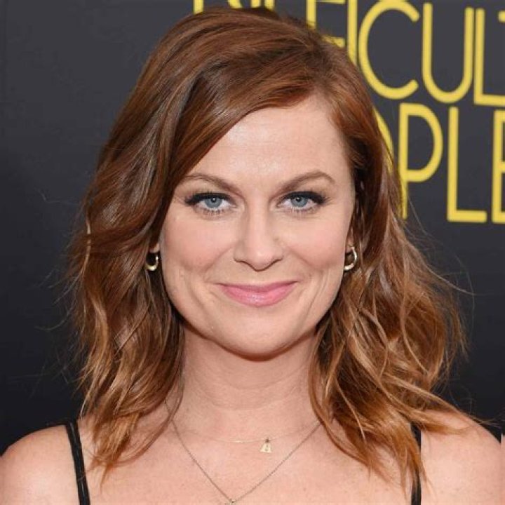 Amy Poehler Real Estate Amy Poehler Real Estate