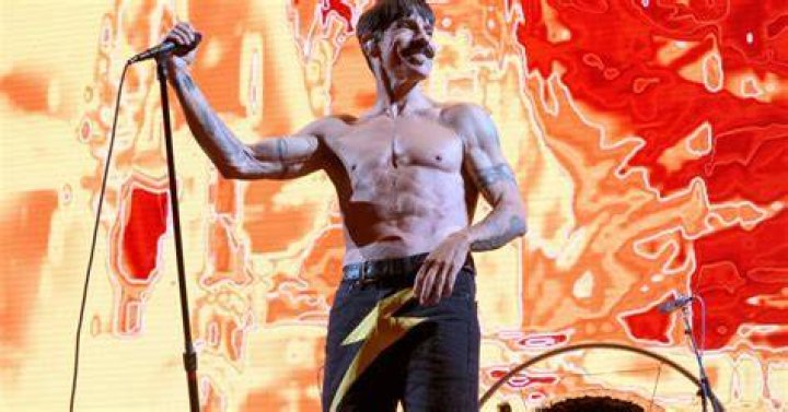 anthony kiedis net worth