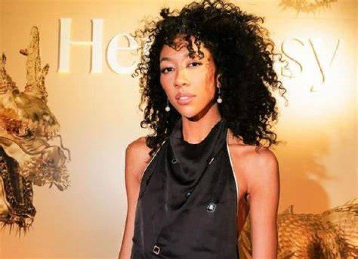 Aoki Lee Simmons Net Worth 2024