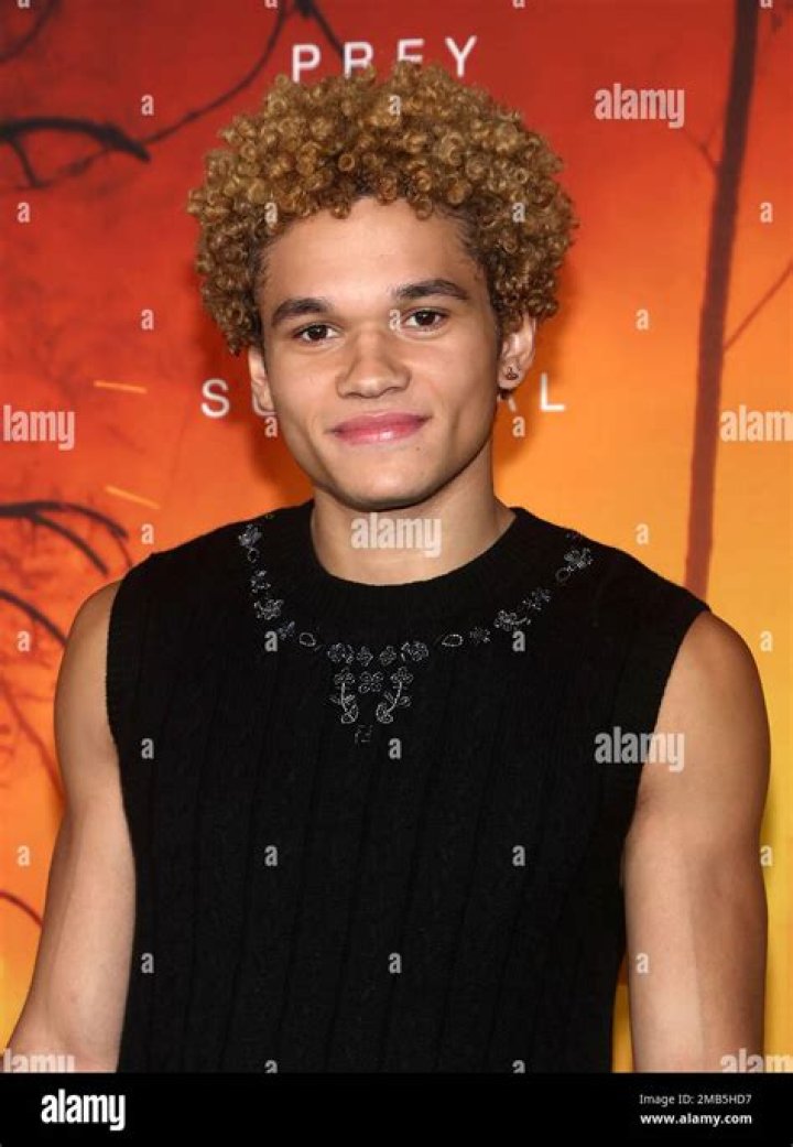 Armani Jackson Armani Jackson