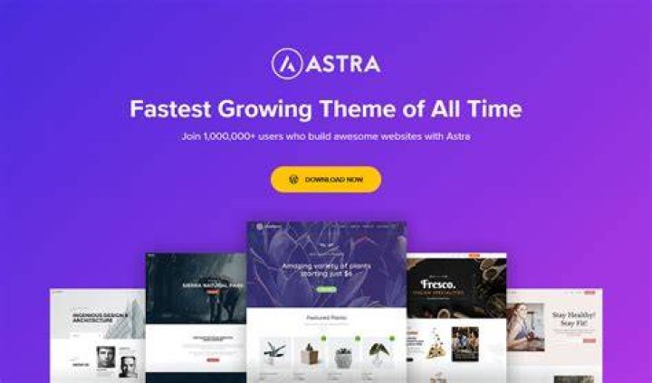 Astra Theme Astra Theme