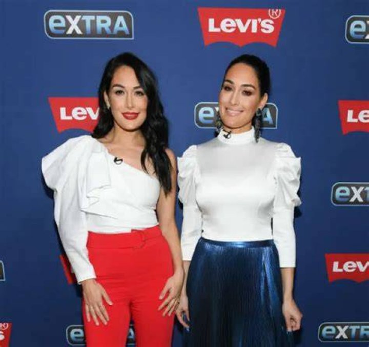 Bella Twins Net Worth 2024