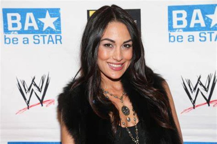 Brie Bella Net Worth – How Much is Bella Worth?
