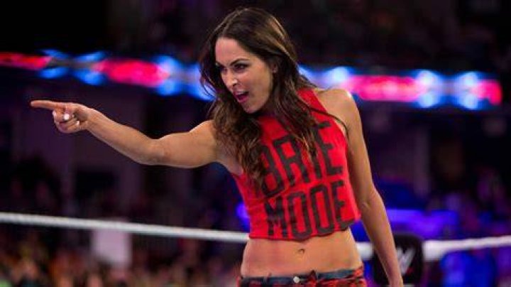 Brie Bella's Net Worth and Financial Success