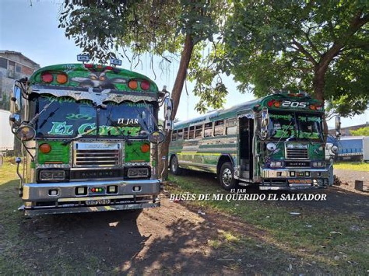 Buses de El salvador SV - Cumbia - Xtremo Bass - el salvador cumbia music