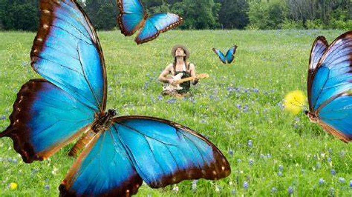 Butterflies Music Video