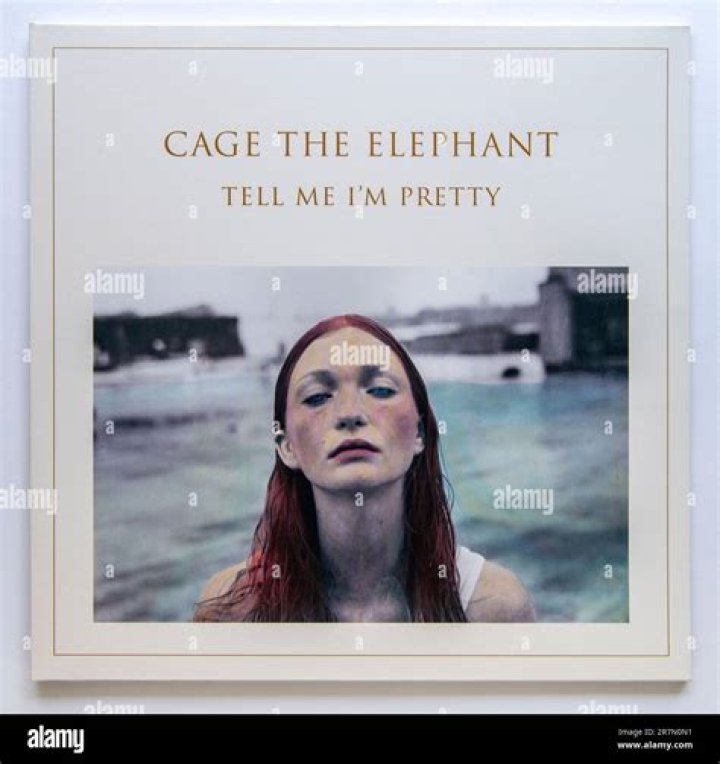 Cage The Elephant's Photo