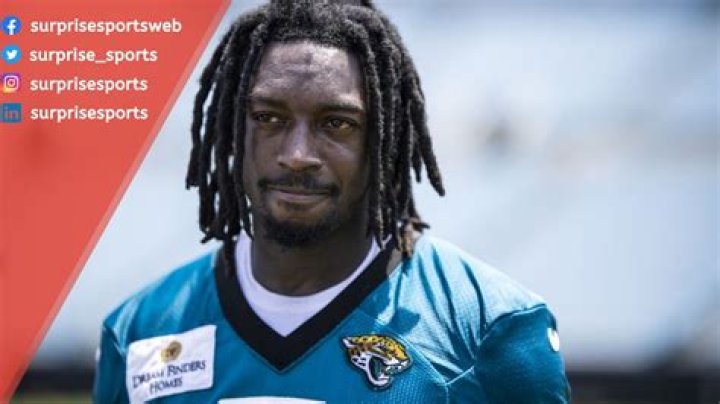 Calvin Ridley Net Worth 2024