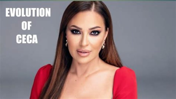 Ceca Net Worth - How Much Does Ceca Make?