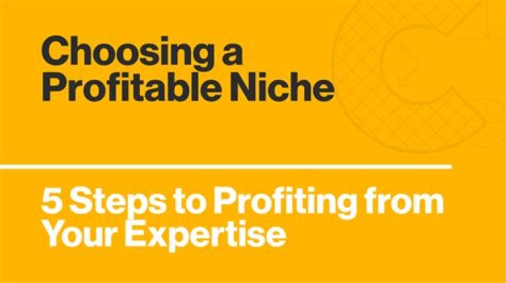choosing a profitable niche choosing a profitable niche