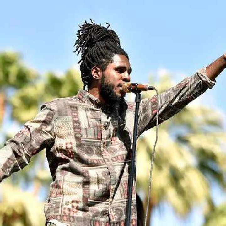 Chronixx Net Worth