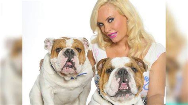 coco austin animal rights coco austin animal rights