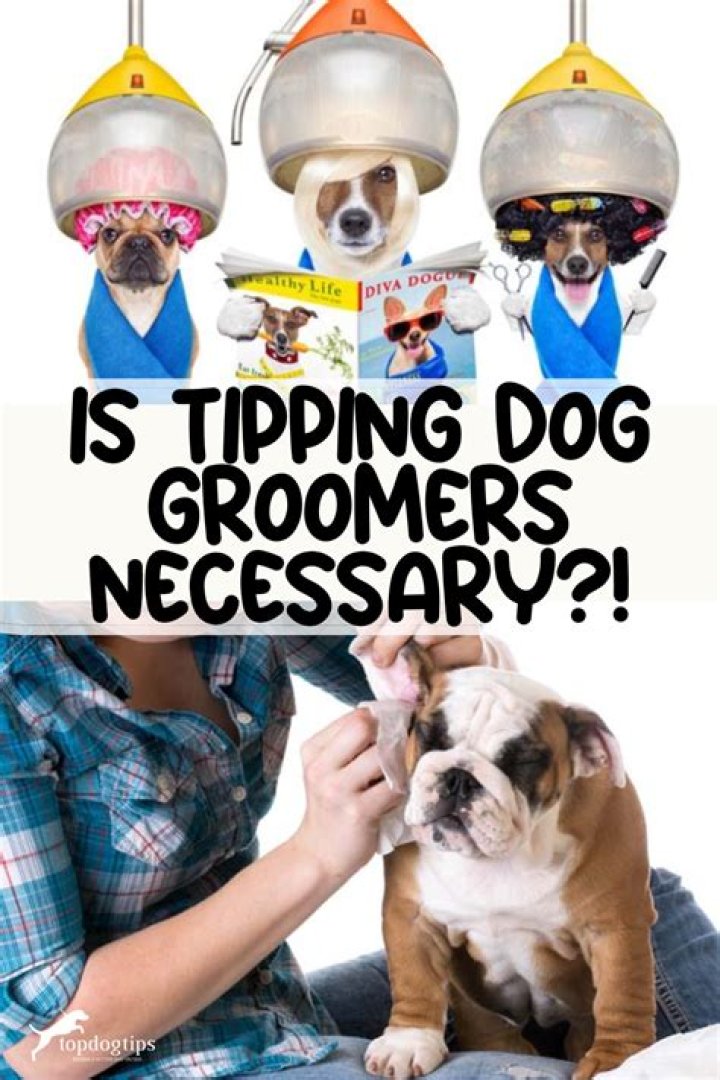 Creative Tipping Options for Dog Groomers Creative Tipping Options for Dog Groomers