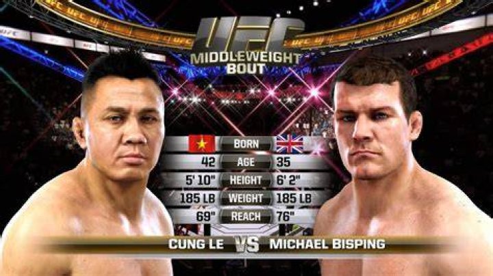 Cung Le Net Worth