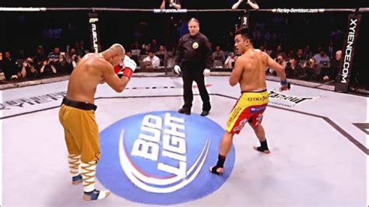 Cung Le