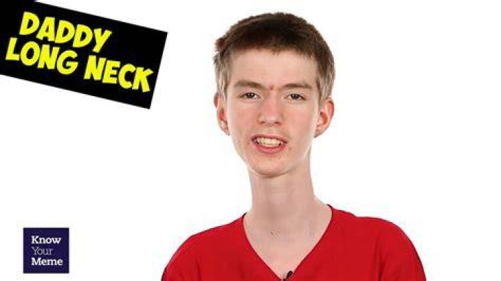 Daddy Long Neck's Photo