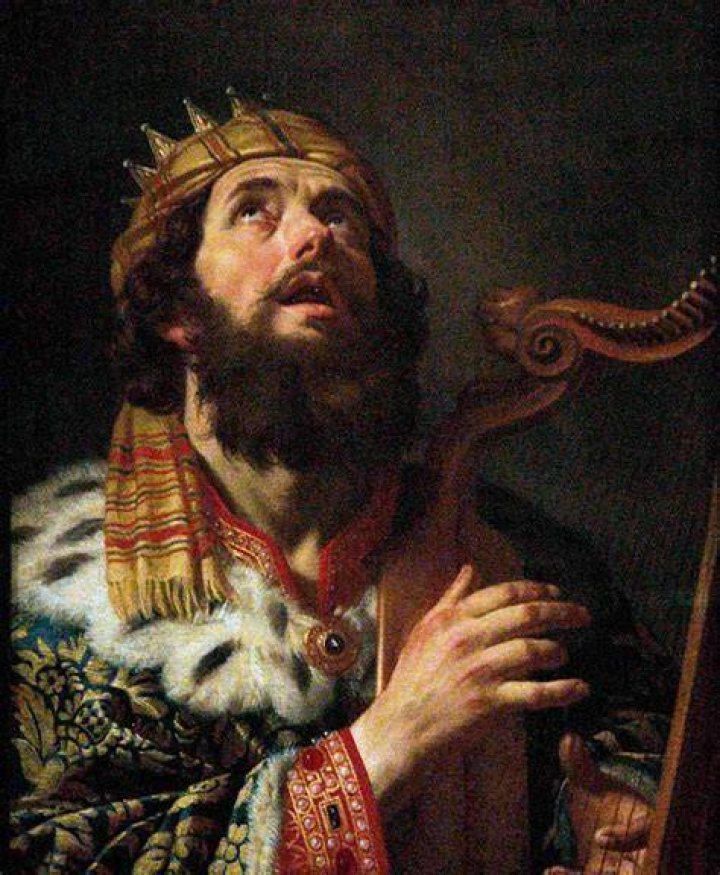 david