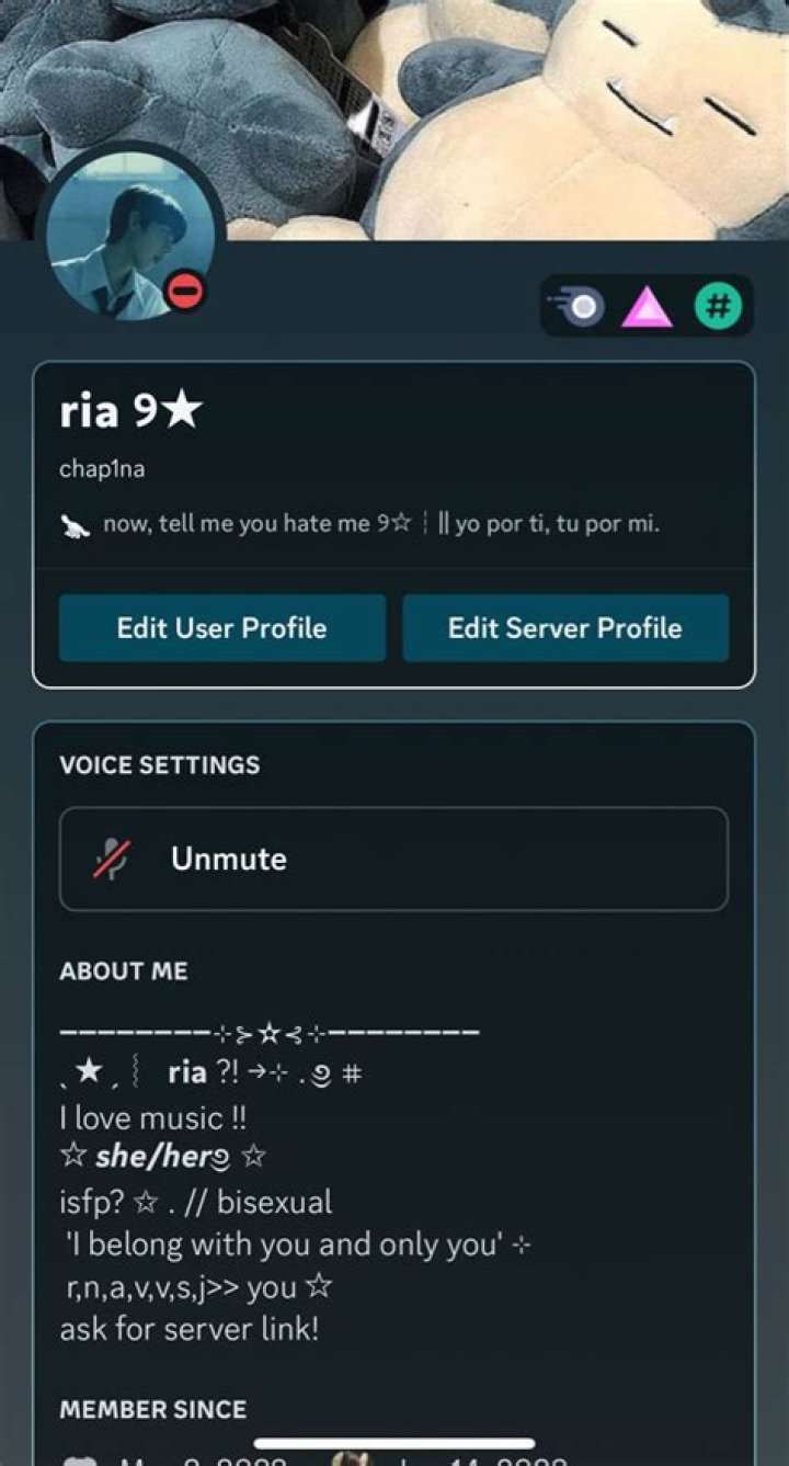 Discord bios Discord bios