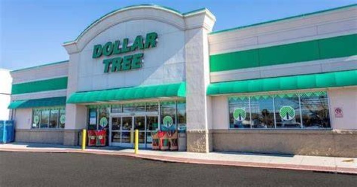 Dollar Tree Financing and Support Dollar Tree Financing and Support