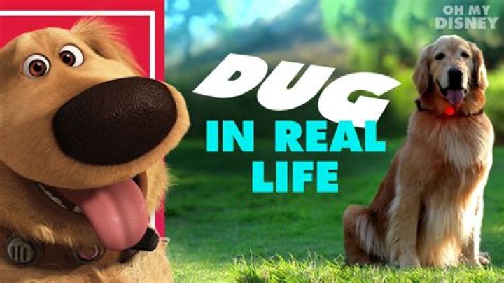 Dug from Up panting and him starring Dug from Up panting and him starring
