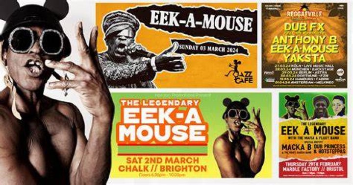 Eek-A-Mouse Net Worth 2024