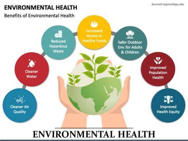 Environmental health: definition, components, importance
