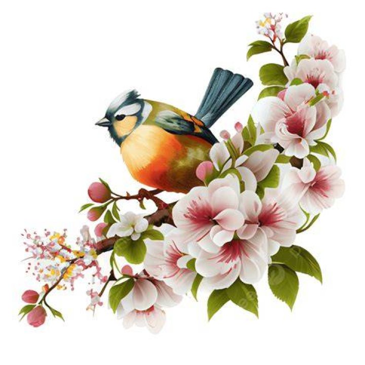 Flowers and a bird Flowers and a bird