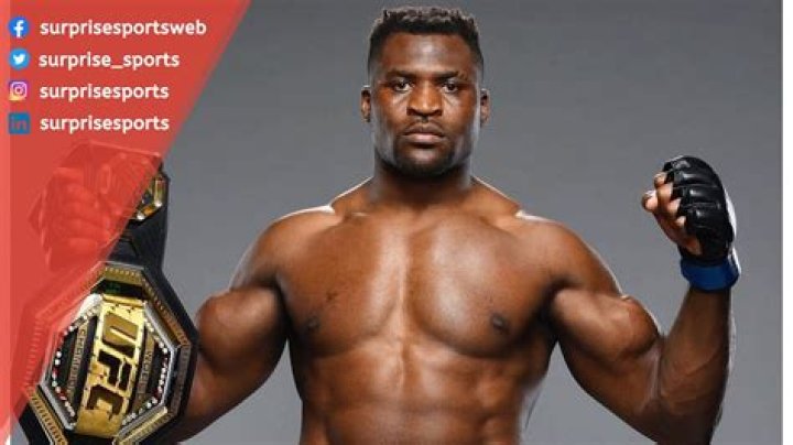francis ngannou net worth francis ngannou net worth