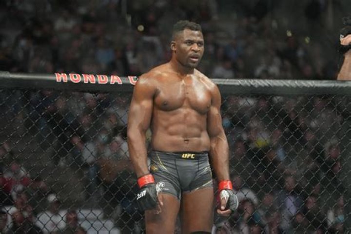 francis ngannou ufc francis ngannou ufc