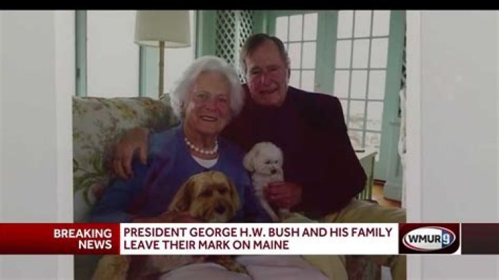 george w bush philanthropy george w bush philanthropy