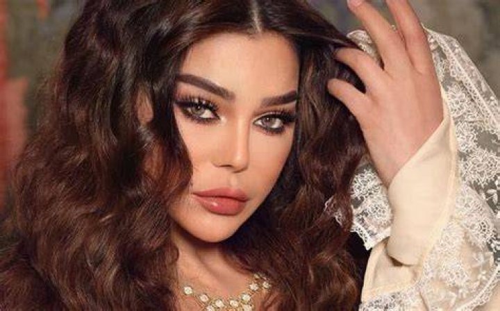 Haifa Wehbe Net Worth