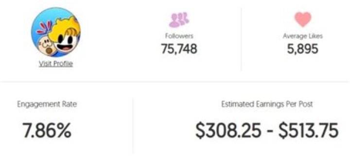 Haminations Net Worth