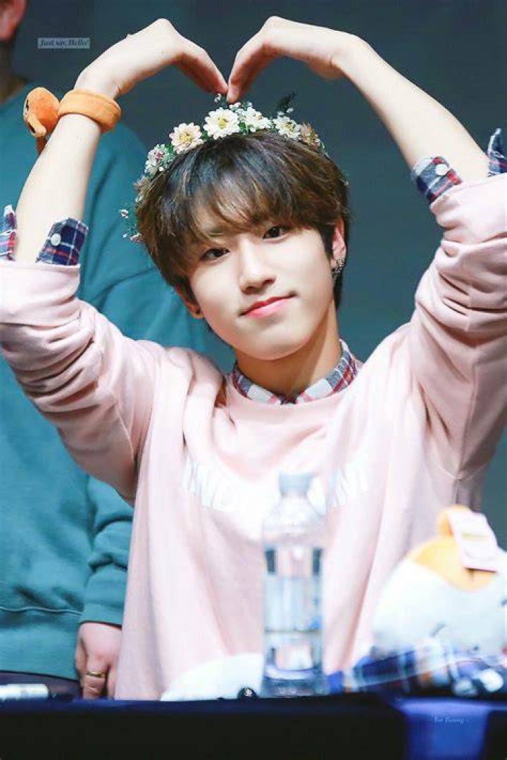 Han Jisung Han Jisung