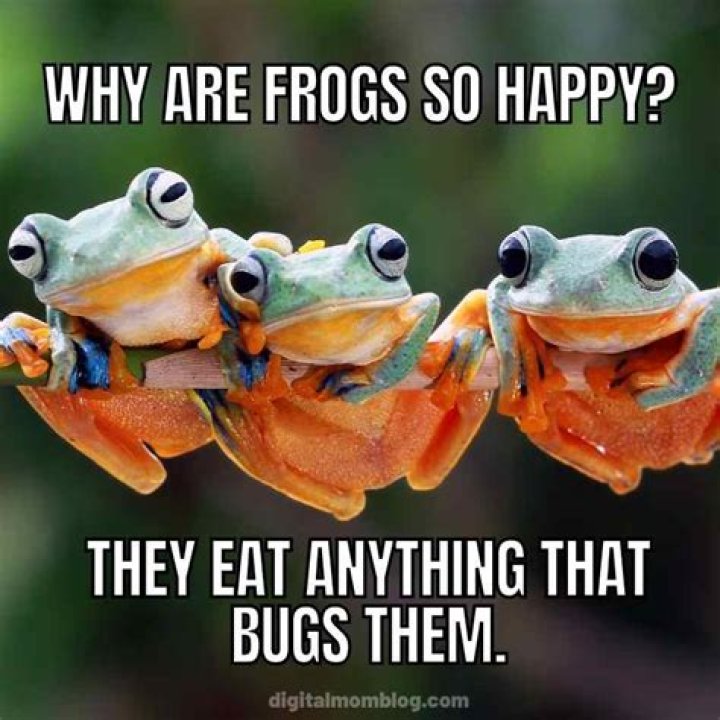 Happy memes