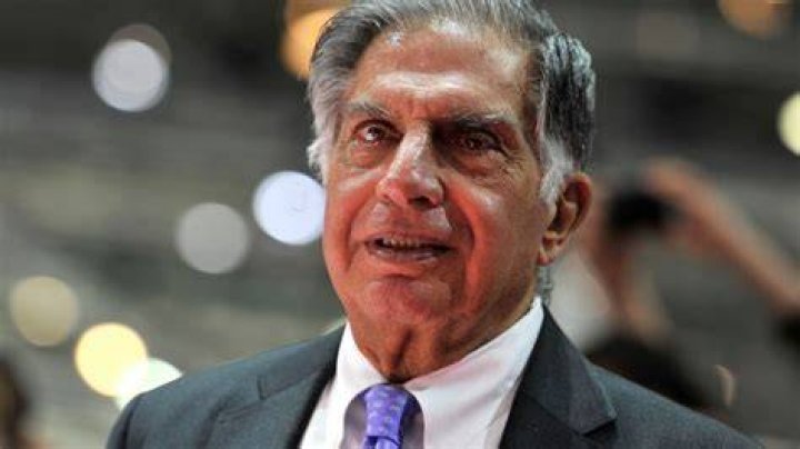 Harold Castro Net Worth 2024