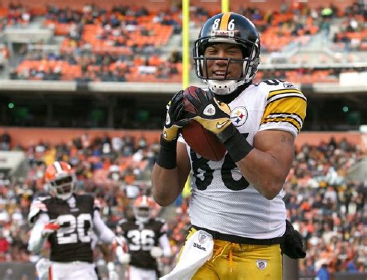 Hines Ward Net Worth
