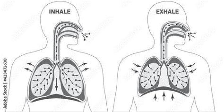 Inhale/Exhale Air 