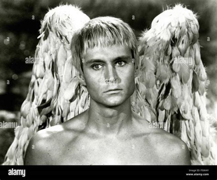 John Phillip Law Net Worth 2024