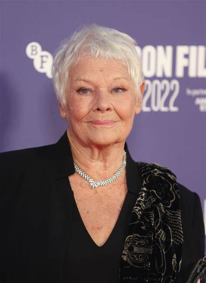 Judi Dench's daughter, Finty Williams