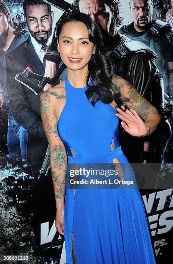 levy tran net worth levy tran net worth