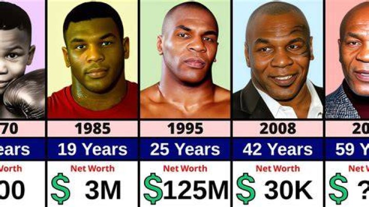 mike tyson net worth