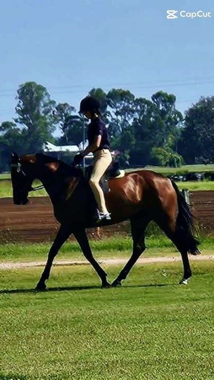 Nathan Parsons horse riding