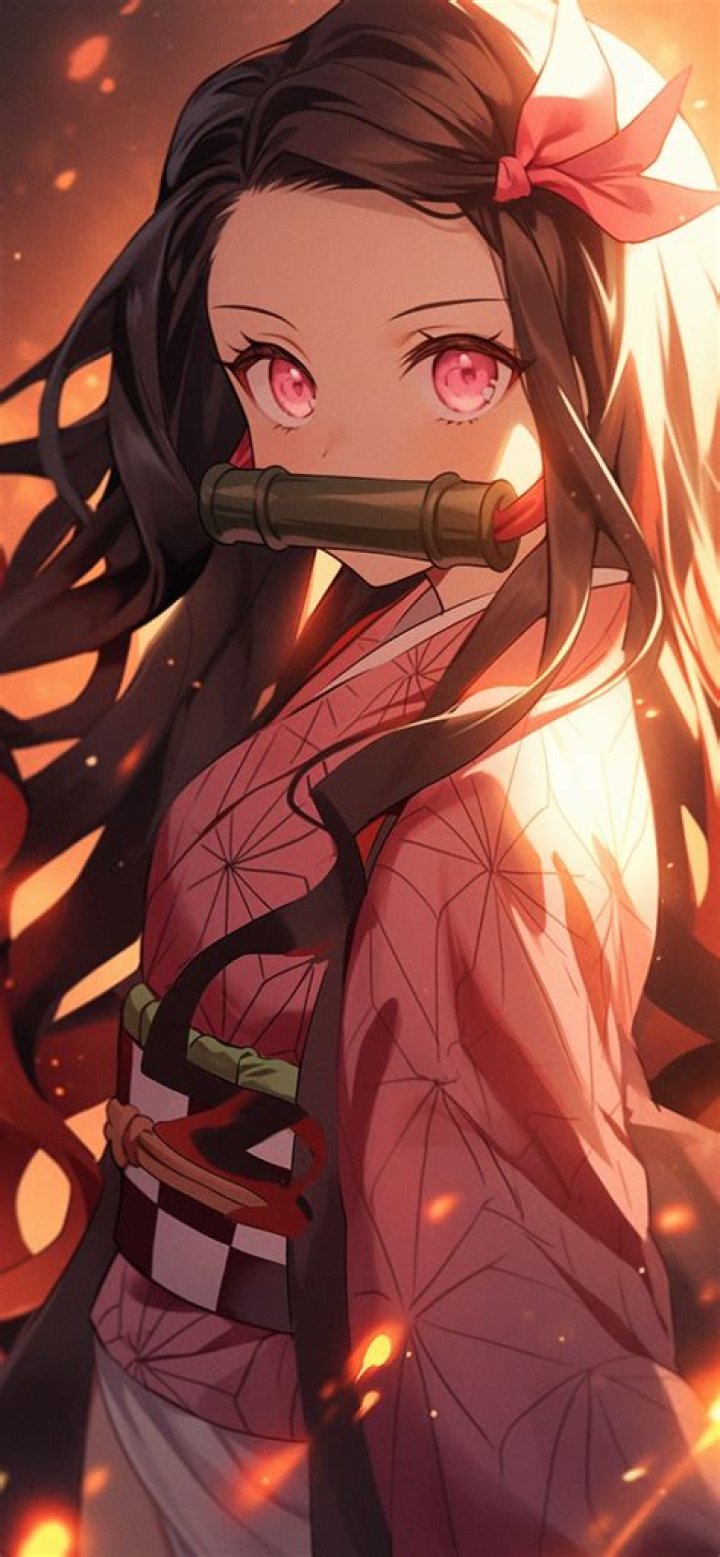 Nezuko Kamado from Demon Slayer Nezuko Kamado from Demon Slayer