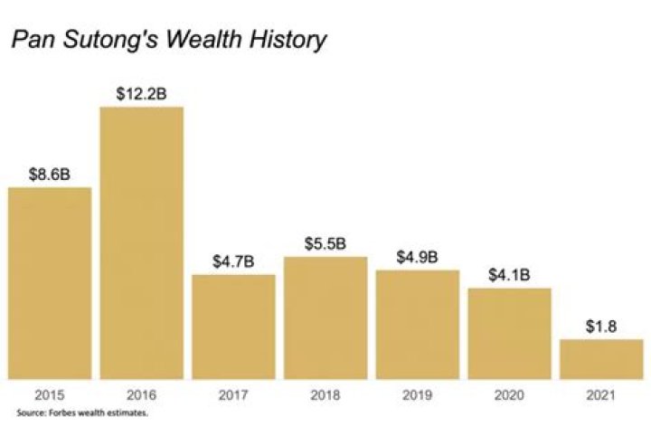 pan sutong net worth pan sutong net worth