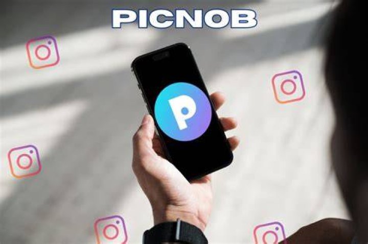 Picnob Instagram viewer tool