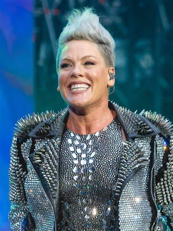 pink singer acting projects pink singer acting projects
