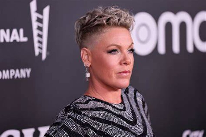pink singer charitable contributions pink singer charitable contributions