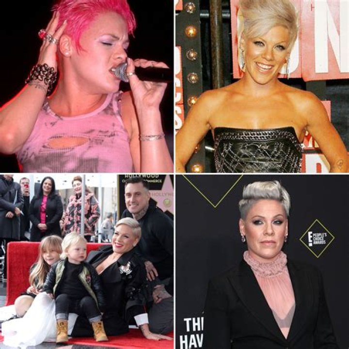 pink singer early life pink singer early life