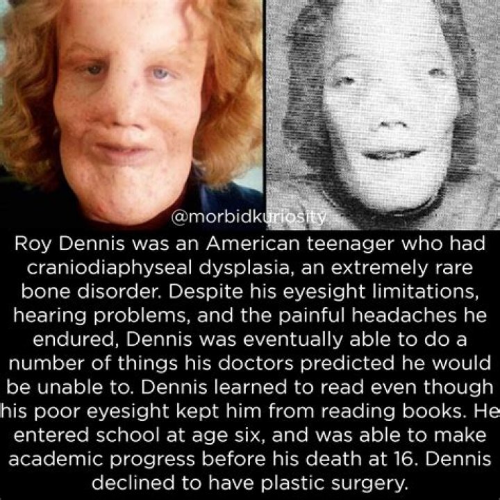 Roy L. Dennis Net Worth